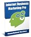 Internet Business Marketing Pro (WP Pro Business Guides)