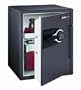 SentrySafe MSW5634 FIRE-SAFE 2.0 Cubic-Feet Electronic Safe, Gunmetal Gray