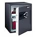 SentrySafe MSW5634 FIRE-SAFE 2.0 Cubic-Feet Electronic Safe, Gunmetal Gray