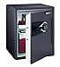 SentrySafe MSW5634 FIRE-SAFE 2.0 Cubic-Feet Electronic Safe, Gunmetal Gray