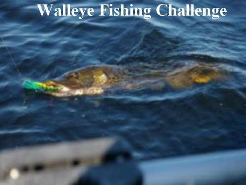 Walleye Fishing Challenge - How to Catch Them Walleye Fishing Challenge - How to Catch Them