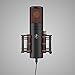 Antelope Audio Edge Go USB Microphone