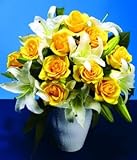 Review Post-a-Rose  / Yellow Roses and Lilies