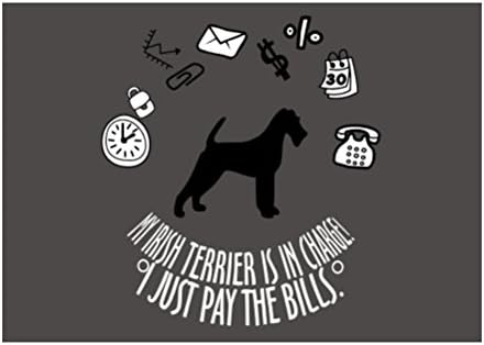 Teeburon My Irish Terrier is in charge! I just pay the bills Pack of 4 Decal