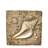 New Stepping Stone Conch Shell Polystone 10 X 1 X 10 Set Of 6 Excellent Performance Durable