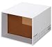 Fellowes �o���J�[�YBOX 1626�t�@�C���L���[�u(703BOX A4�t�@�C���p/3����) 1626�t�A�C���L��-�u(162701
