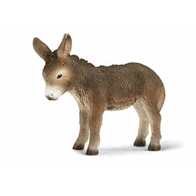  Donkey Foal