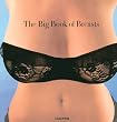 The Big Book of Breasts