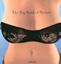Big Book of Breasts