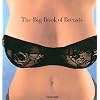 The Big Book of Breasts