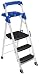 Werner 3-Foot Step Project Ladder Type IA #283-2