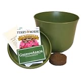 Green Arbor Pick of the Arbor - Green by Green Arbor