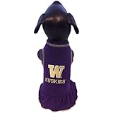 NCAA Washington Huskies Cheerleader Dog Dress