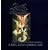 Celestial Christmas: A Special Collection of Seasonal Music