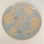 Mermaid platter, porcelain mermaid collectors plate