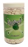 Xyloburst Spearmint Xylitol Chewing Gum 500 Count