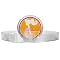Invisibelt Clear Belt