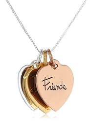 Tri-Colored Sterling Silver with Yellow and Rose Gold Flashed Heart "Mother Daughter Friend" Pendant Necklace, 18"
