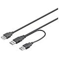 Wentronic USB Kabel (2x A-Stecker auf A-Buchse) 0,3m