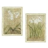 Wallies Cheri Blum Narcissus Orchids Cutouts Wall Decor