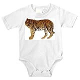 Onesie with zoo, endangered, Siberian, cat, Indian, tiger, captivity, Asian, Sumatran, carnivore, mammal, animal, species, predator, feline