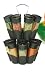 Kitchen & Housewares : Cassia 16 Bottle Spice Carousel