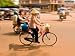 Bicycle Transportation, Vientiane, Laos Photographic Poster Print by Gavriel Jecan, 24x18