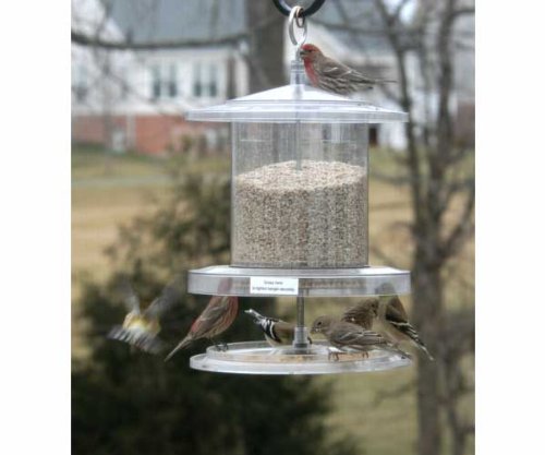 All Weather Bird Feeder Spilled Seed