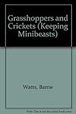 Grasshoppers and crickets