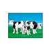 Playmobil Farm  2 BLACK COWS WITH CALF  #7892