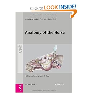 Click here to buy Anatomy of the Horse (Vet (Schlutersche)) by Klaus Dieter Budras and W. O. Sack.