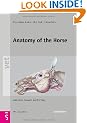 Anatomy of the Horse: An Illustrated Text (Vet (Schlutersche))
