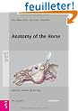 Anatomy of the Horse