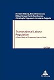 Transnational labour regulation : a case study of temporary agency work