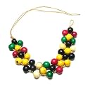 Brazilian Colorful Acai Palm Tree Seed Bracelet