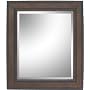 Bronze Leaf Finish Wall Mirror