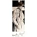 (27x77) Humphrey Bogart Casablanca Life Size Vintage Door Movie Poster