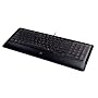 Logitech Compact Keyboard K300 Tastatur USB Schwarz