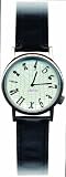 3B Scientific W64001E Einstein Relativity Watch