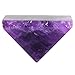 SUNYIK Natural Stone Pyramid, Healing Crystal Point Gemstone Energy Generator Reiki Metaphysical Decoration Figurine Amethyst Quartz, 1-1 1/8 inch