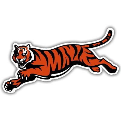 Cincinnati Bengals NFL Football bumper sticker 6