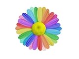 Flower 3 - 24