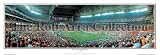Florida Gators Triumph Jan. 8, 2007 Framed Panoramic