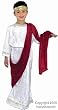 Child's Caesar Boy's Costume (Size:Small 6-8)