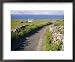 Country Road, Inishmore, Aran Islands, County Galway, Connacht, Republic of Ireland (...