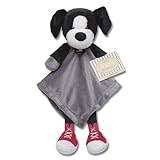 Knowing God: Walking through the Book of Books