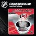 CAROLINA HURRICANES 2010 NHL Daily Desk 5" x 5" BOX CALENDAR