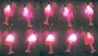 Pink Flamingo Fun Party String Lights (SJ)