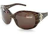 Roberto Cavalli - Roberto Cavalli Sunglasses Assarraco 313S 313-S T27 Striated Brown Frame Brown Shades Size: 59-18-120