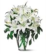 Send Fresh Cut Flowers - 20 White Oriental Lilies